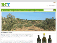 Tablet Screenshot of bcy-olive.com